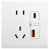羅格朗開關插座 仕藝Pro 玉蘭白 帶二三插Type A+C USB充電插座 五孔Type A+C USB 20W