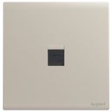 羅格朗開關插座 仕藝 粉鉑金 一位電腦插