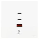 羅格朗開關插座 維翼 陶瓷白 Type A+2C USB充電插座 45W