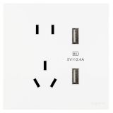 羅格朗開關插座 維翼 陶瓷白 帶二三插USB充電插座 五孔USB插座