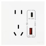 羅格朗開關插座 維翼 陶瓷白 帶二三插Type A+C USB充電插座 五孔Type A+C USB 30W