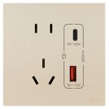 羅格朗開關插座 維翼 粉鉑金 帶二三插Type A+C USB充電插座 五孔Type A+C USB 30W