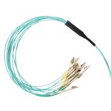 12芯LC-LC萬兆多模OM3扇形分支主干光纜,LSZH,10米