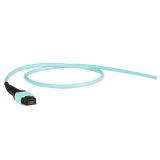 預(yù)端接主干光跳MPO(F)-MPO(F) OM3 24F(2x12) Pol.B Ultra LSZH 10m